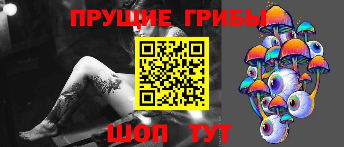 Троицк  Галлюциногенные грибы Psilocybine cubensis  Вход с VPN 
